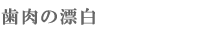歯肉の漂白